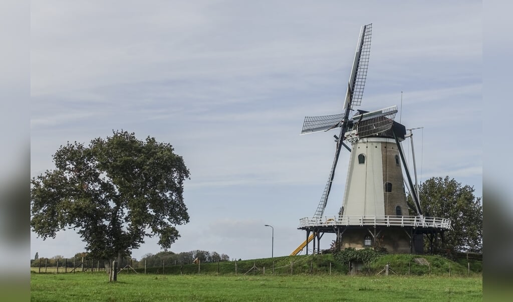 Al 1000 kilo rogge van Herenboeren Soest werd in De Windhond gemalen.