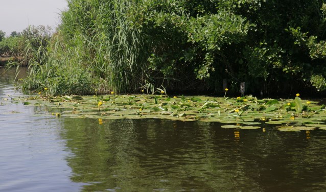 De Amstelveense Poel