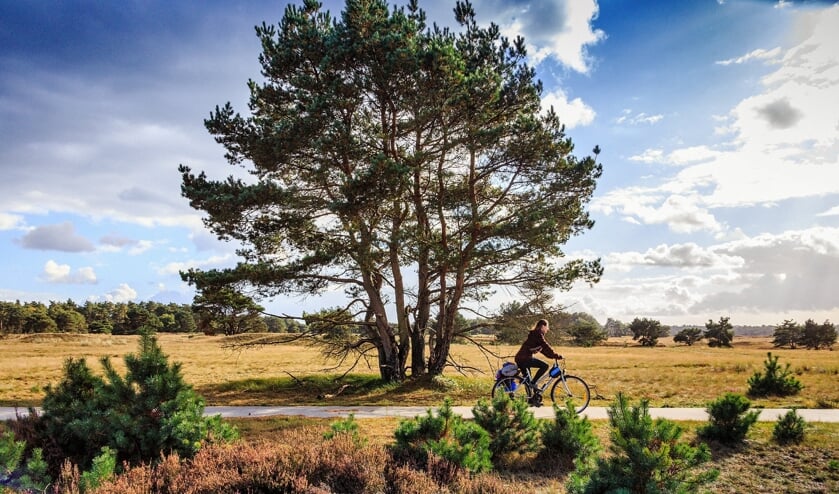 Nationaal Park Hoge Veluwe