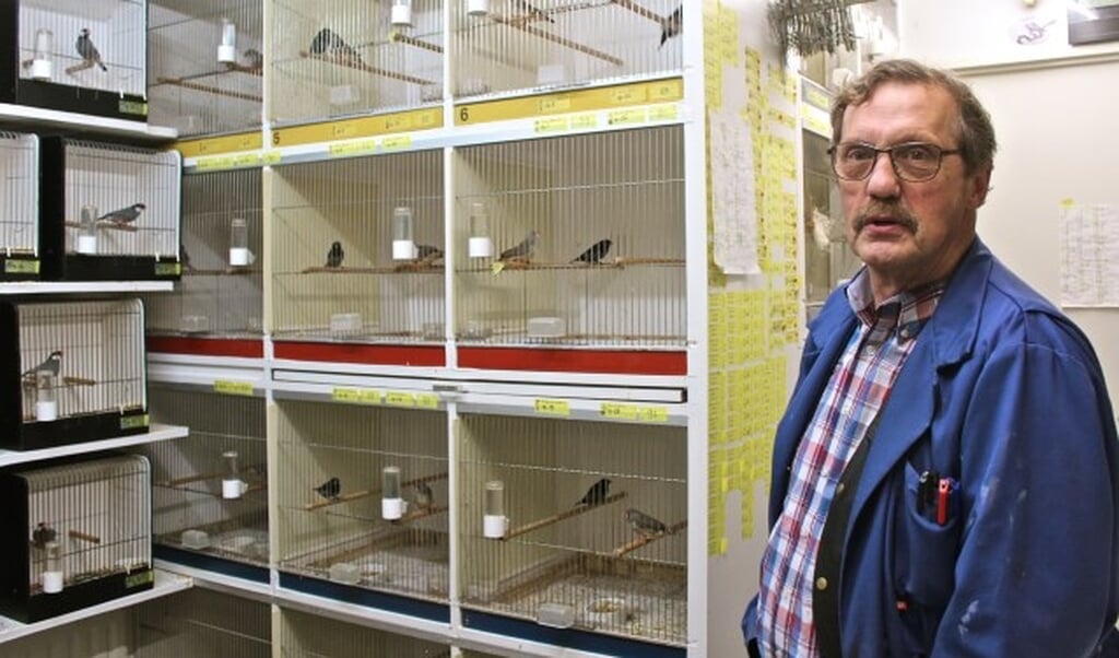Ton Jacobse bij een kleine selectie van zijn tropische vogeltjes. FOTO: Els van Stratum
