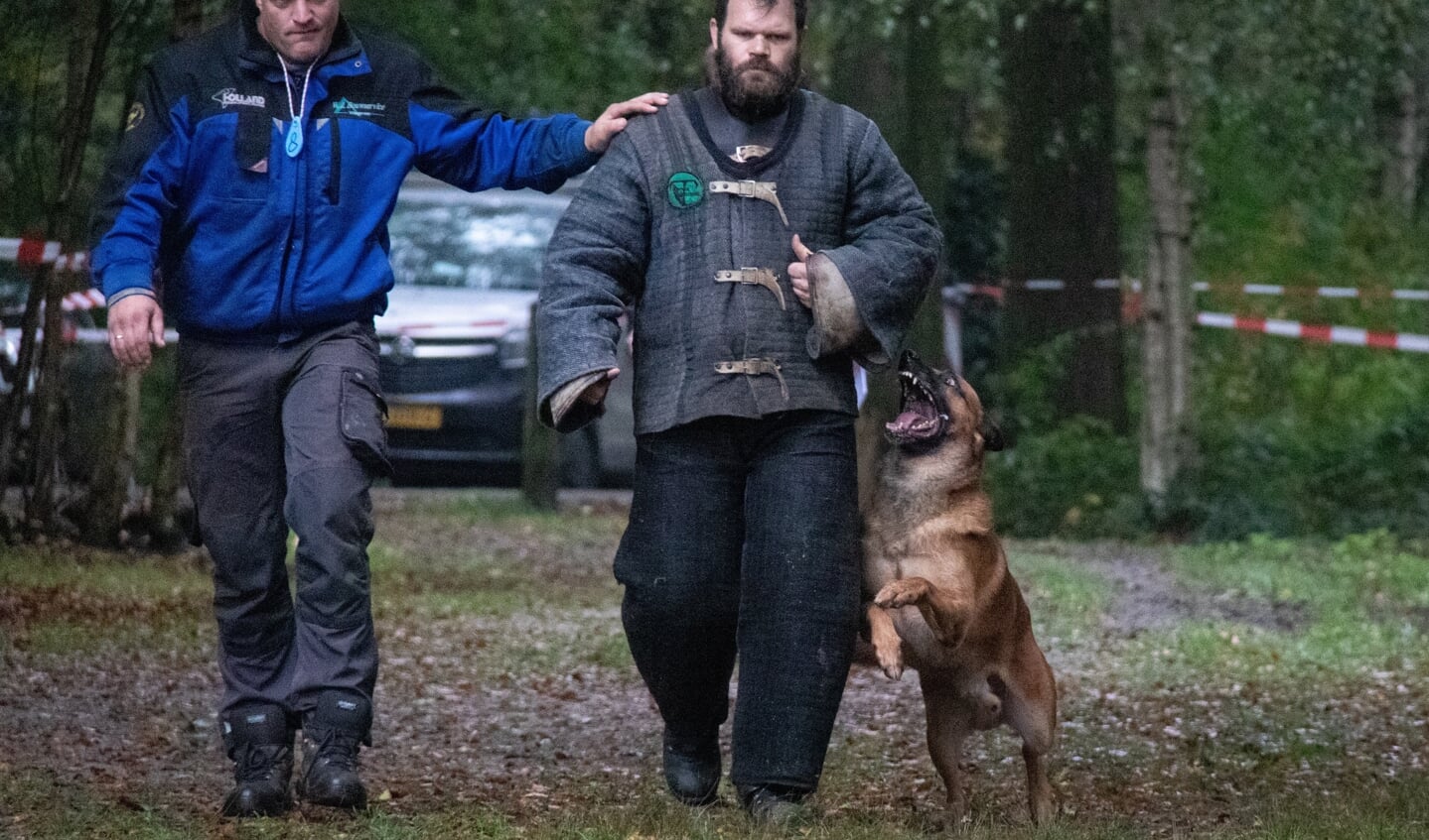 Een politiehond in training brengt een 'boef' op. 