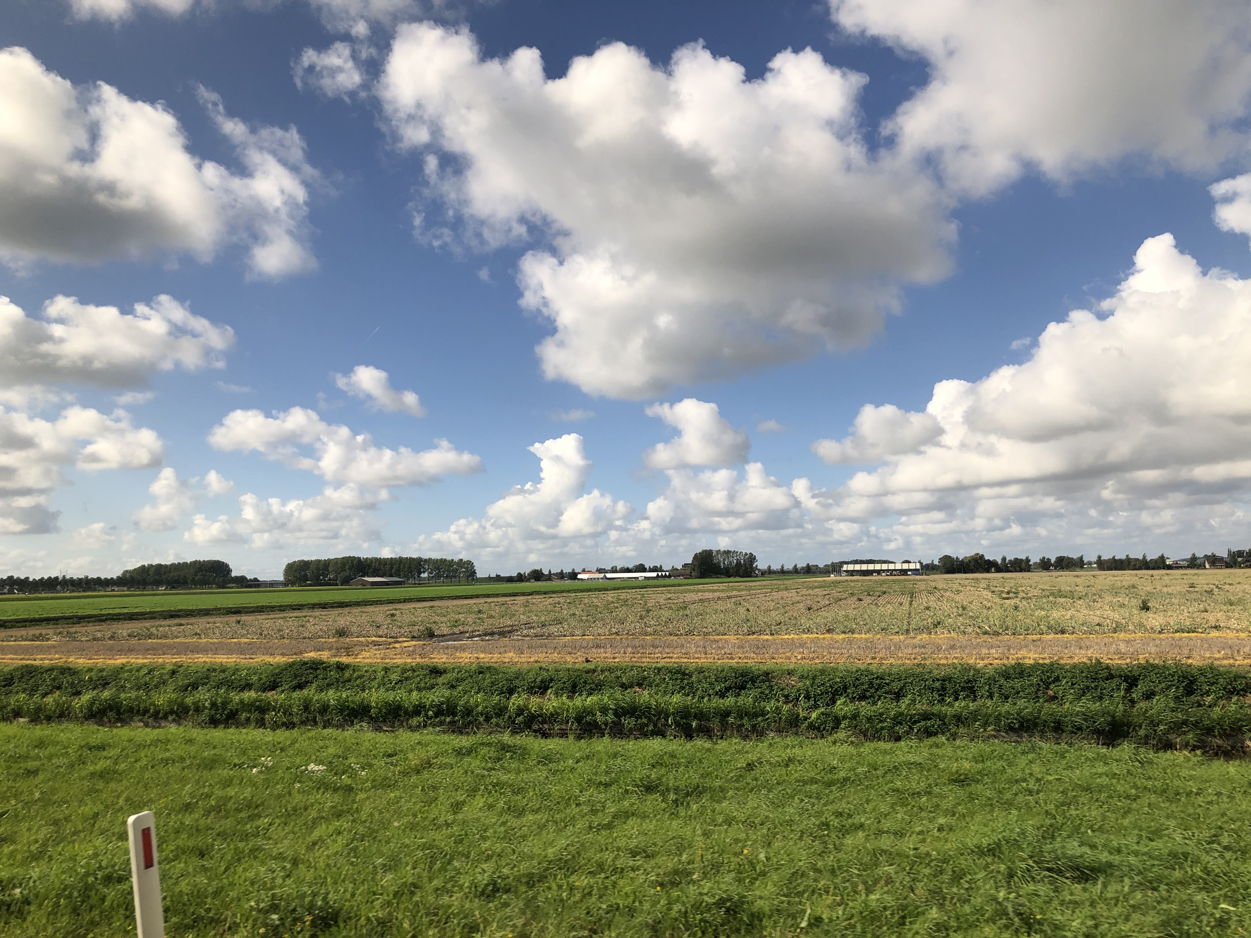 Akker langs de A4 te Hoofddorp