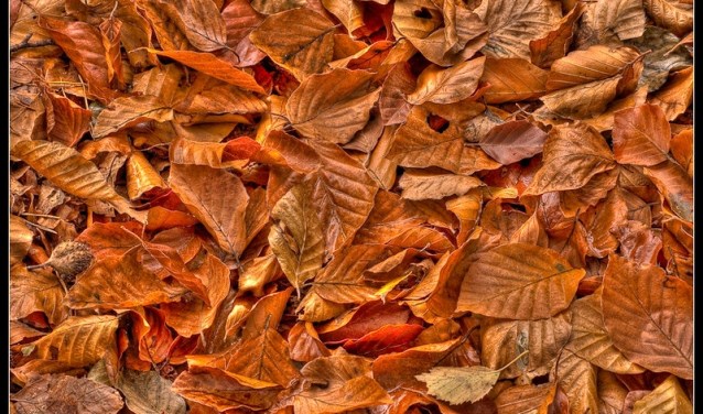 Herfst