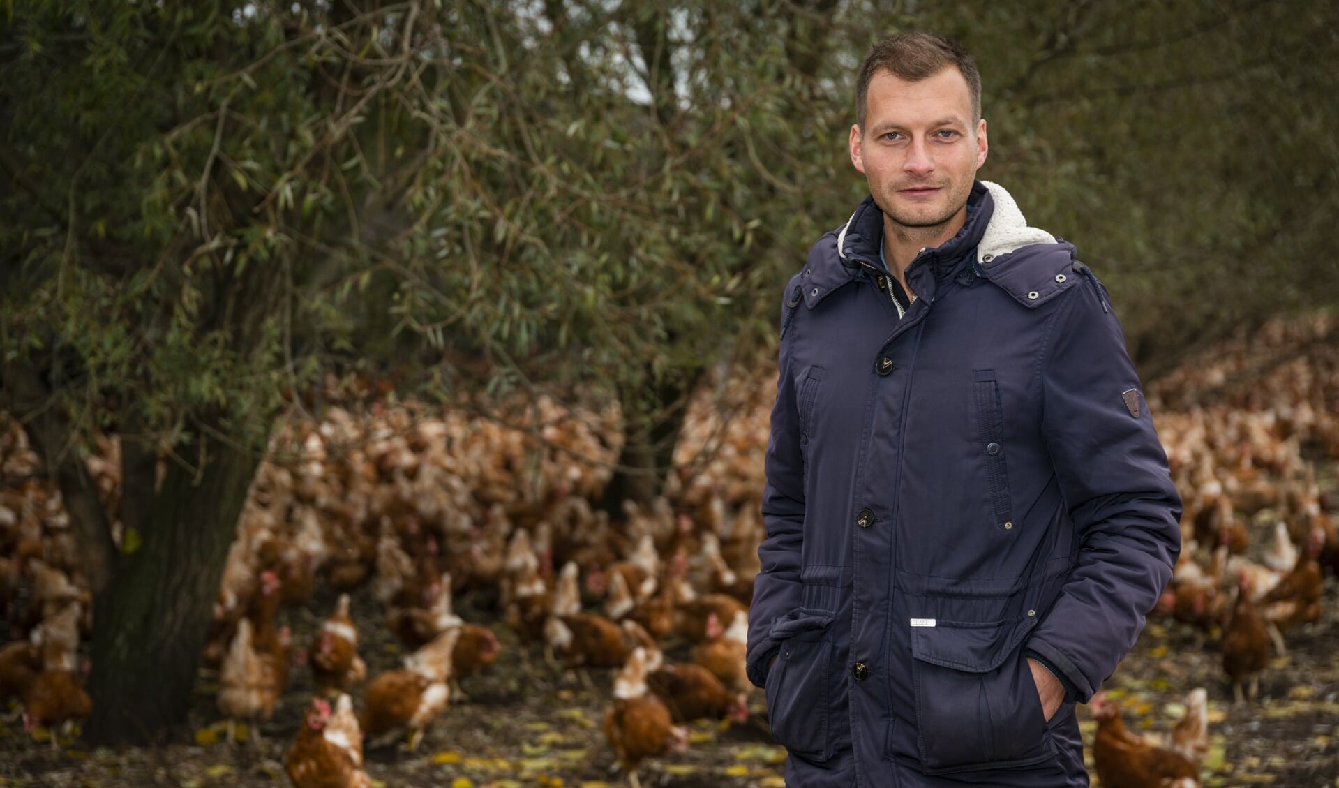 Onderzoeksjournalist Edward Doelman start een serie artikelen over de toekomst van de pluimveesector in de Gelderse Vallei.