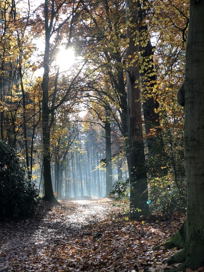 Mooi laantje