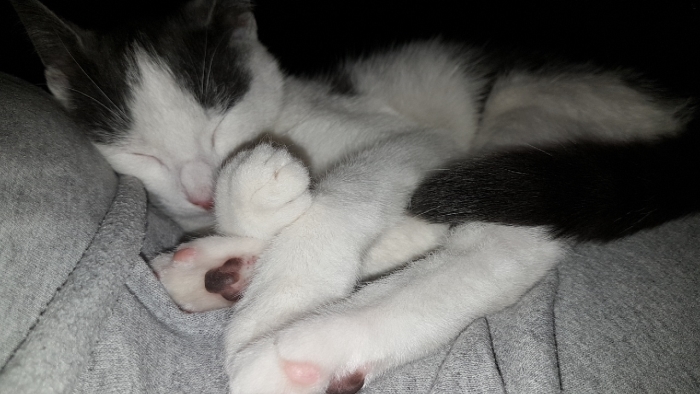 Joep Kater