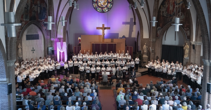 Het Voice Company koor