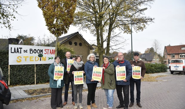 Buurtbewoners staan pal voor de esdoorn. Stedin overweegt om de gezonde boom te kappen.