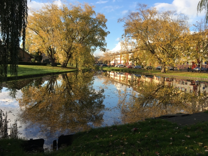 De Oosterstraatvijver