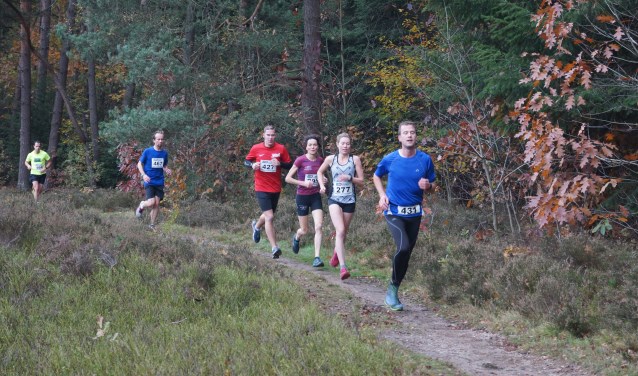Lopers bij Bennekomse Bosloop