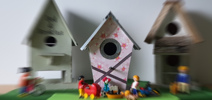 Bij birdnesting blijven de kinderen op het nest en de (gescheiden) ouders wonen om beurten bij hen