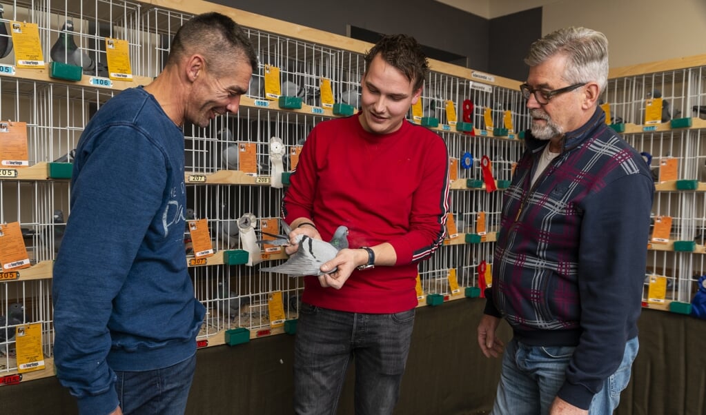 Erik Bronkhorst (links), Everard Kampert (midden) en Jan van der Kamp bekijken een duif tijdens de tentoonstelling van De Voordevliegers.