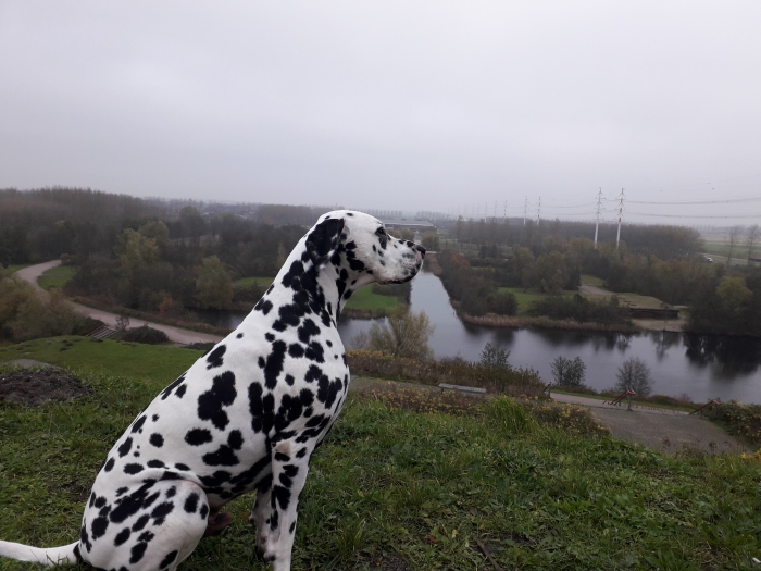 Nino op de big spotters hill
