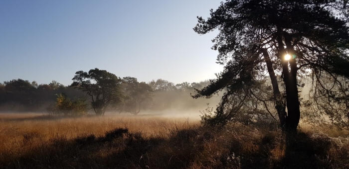 Landgoed Schaffelaar
