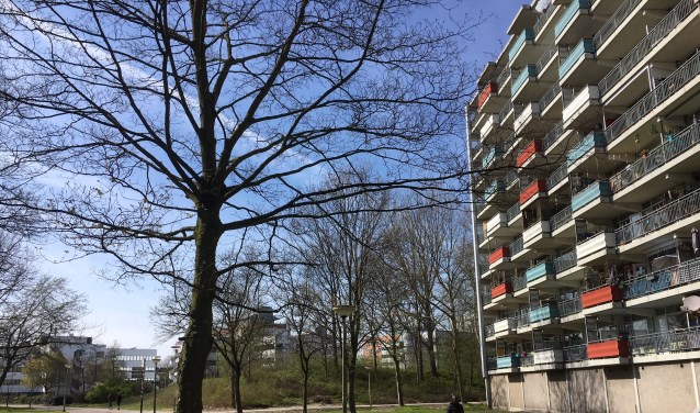 Zonnehofflat.