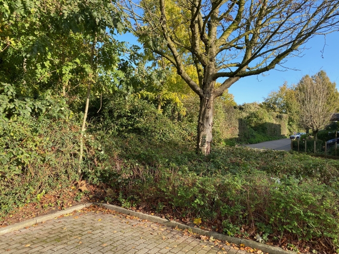 Zo ziet de geluidswal aan de randweg en de natuur er nu nog uit.