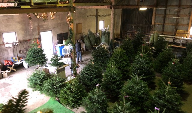 Bij kerstbomenhoofddorp.nl kunt u gezellig onder het genot van een drankje gezellig samen in alle rust de juiste boom weer vinden.