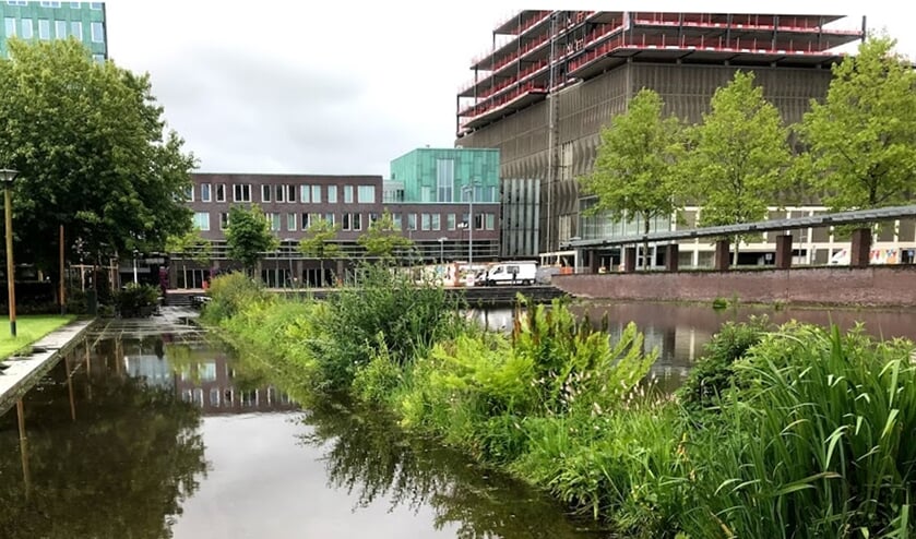 Stadstuinen.