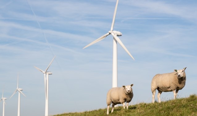 Groene stroom uit Nederland