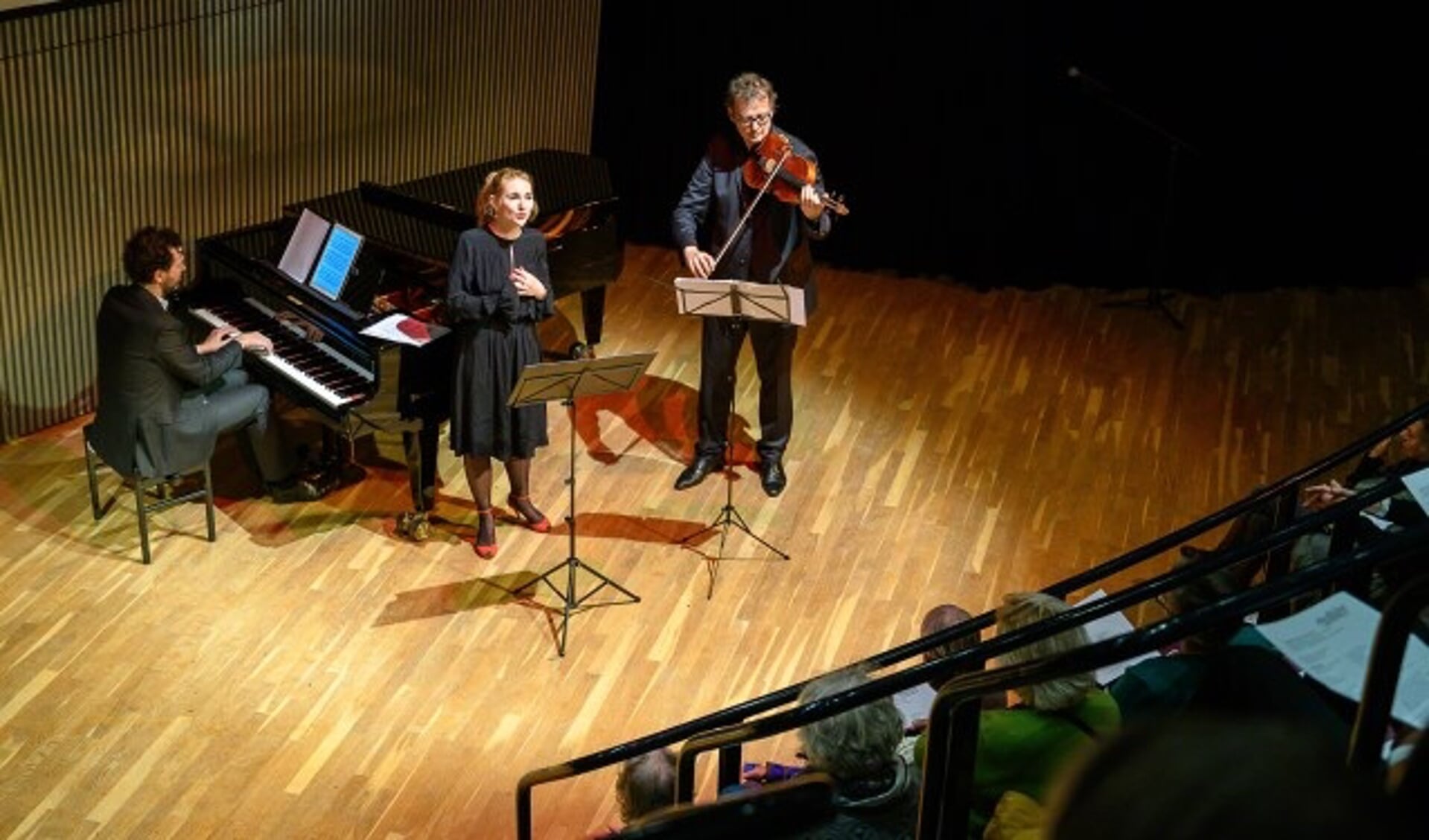 IDEA Bibliotheek Zeist Appeltaartconcert (foto: Hans Lebbe)