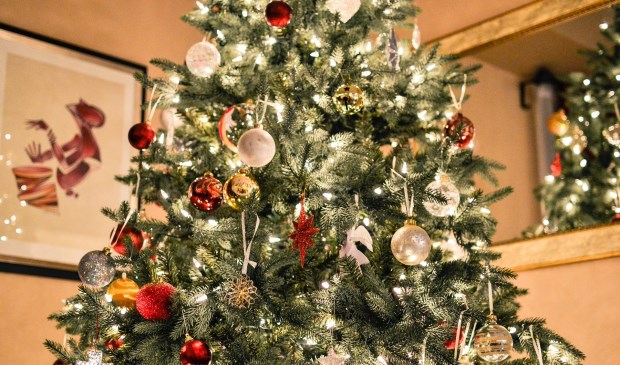 Archieffoto. Niet de bewuste kerstboom.