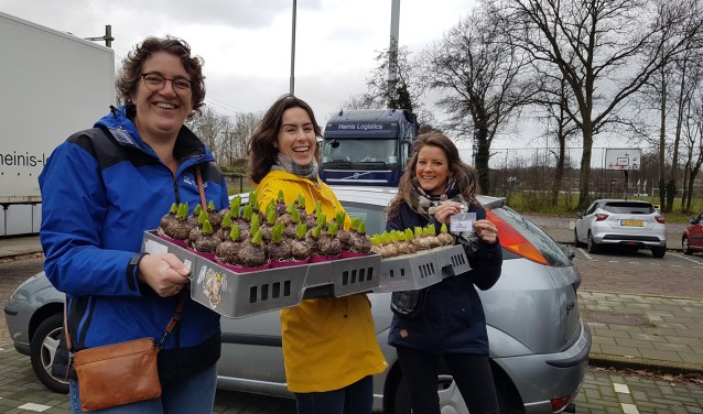 Bakken vol hyacinten huis-aan-huis verkocht door Soli.