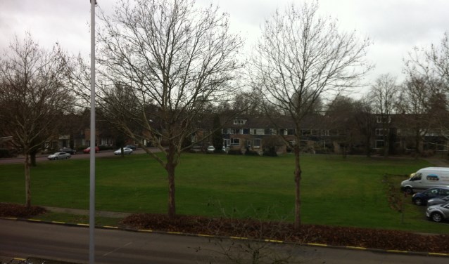 Het grasveld van De Oude Kolk is beoogd als bouwlocatie voor twintig woningen met parkeergarage.