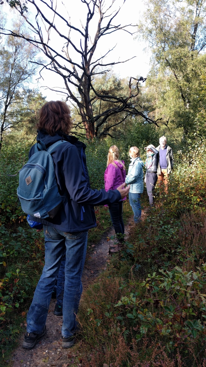 Wandelaars genietend van natuurbeleving