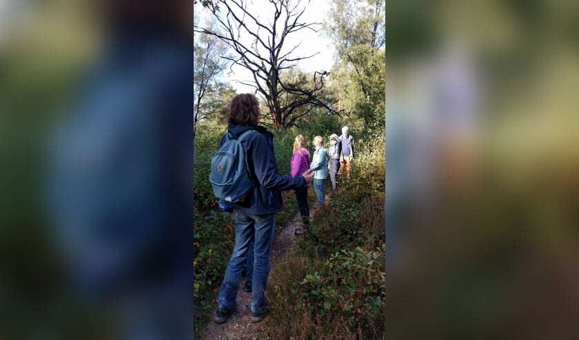 Wandelaars genietend van natuurbeleving