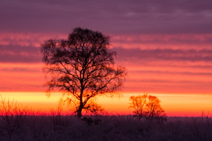 Zonsopgang op Ginkelse Heide