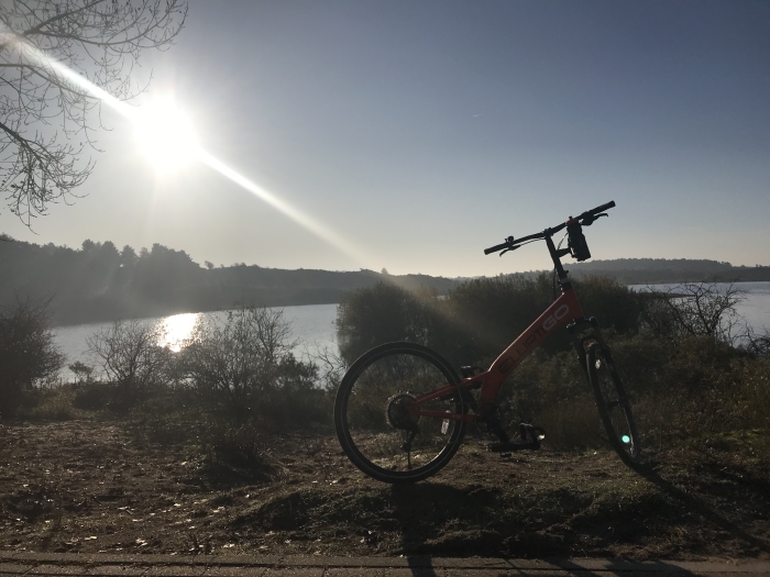 Uitzicht bij Vogelplas Kennemerduinen