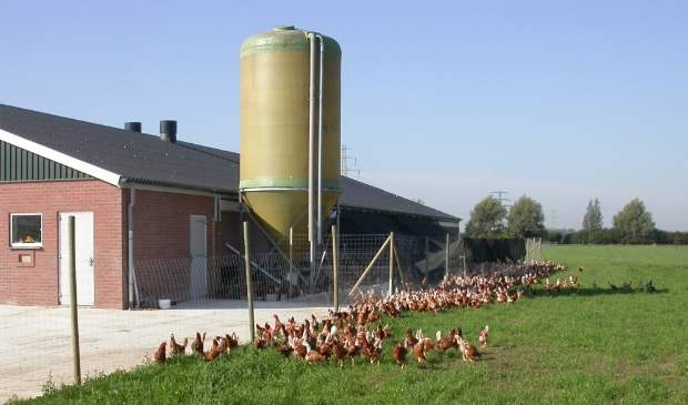 <p>Archieffoto</p>
