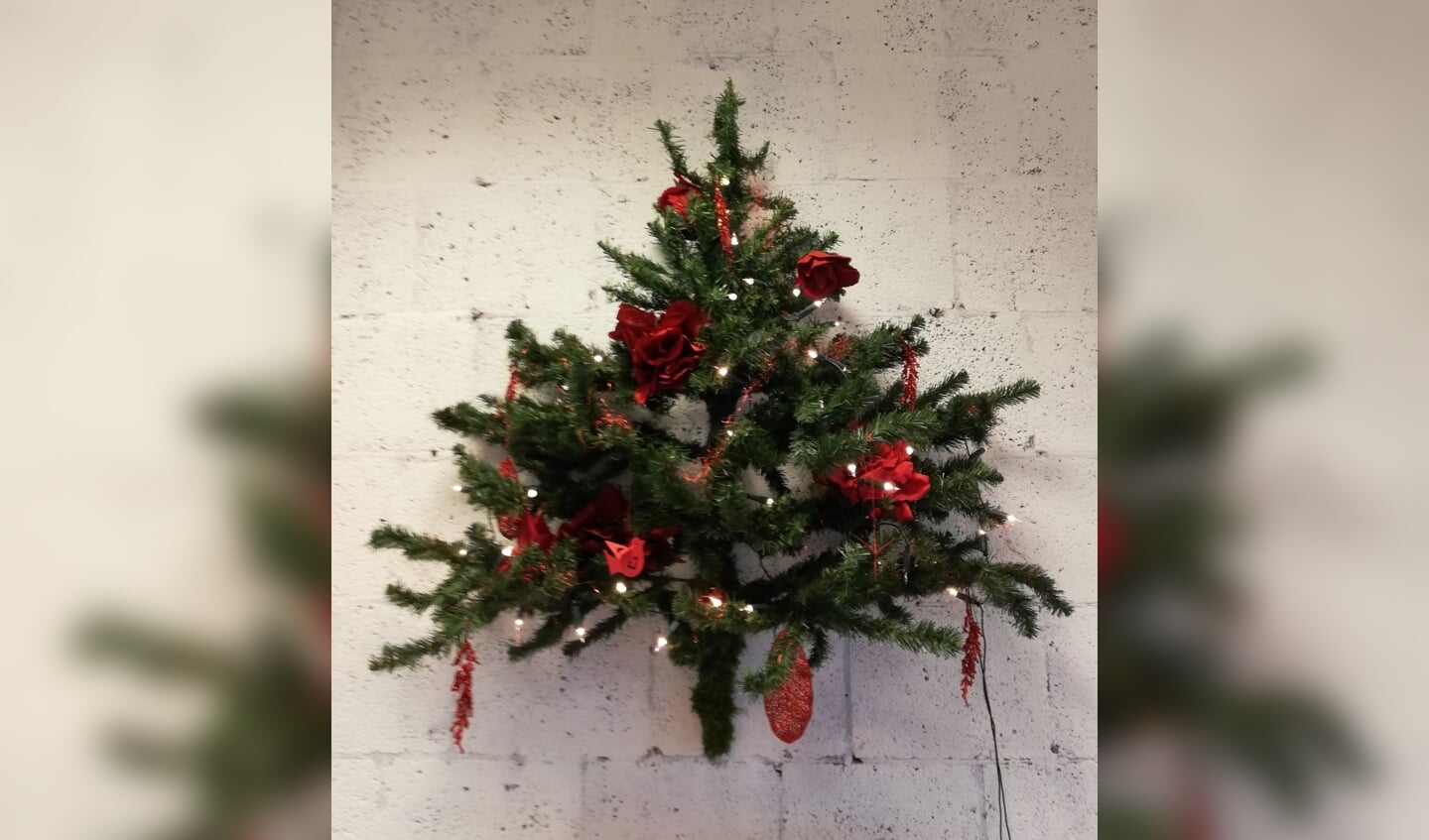 Kerstboom hangend aan de muur