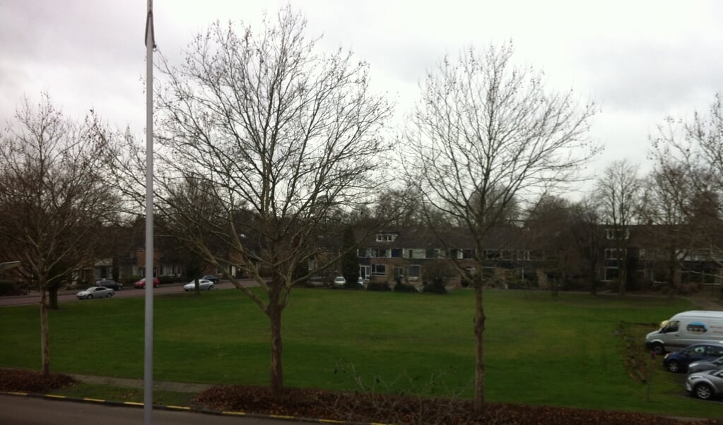 Het grasveld van De Oude Kolk is beoogd als bouwlocatie voor gestapelde woningen en een parkeergarage.