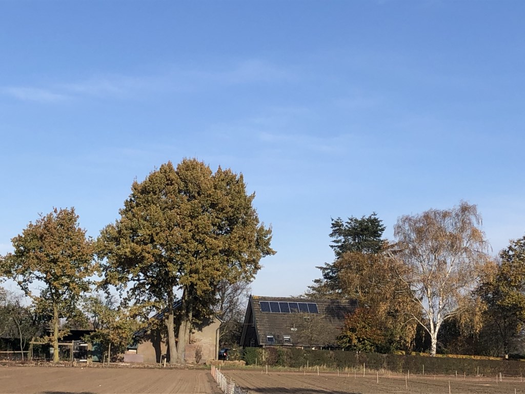 De Cleenhorsterweg komt in aanmerking voor een zonnepark.