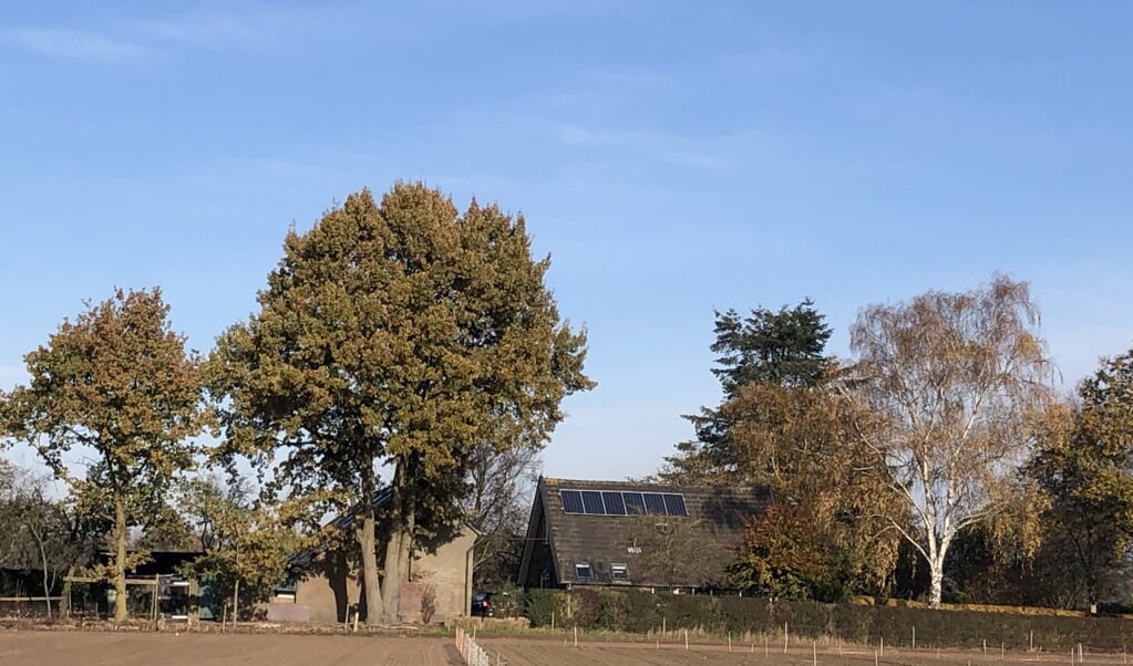 De Cleenhorsterweg komt in aanmerking voor een zonnepark.