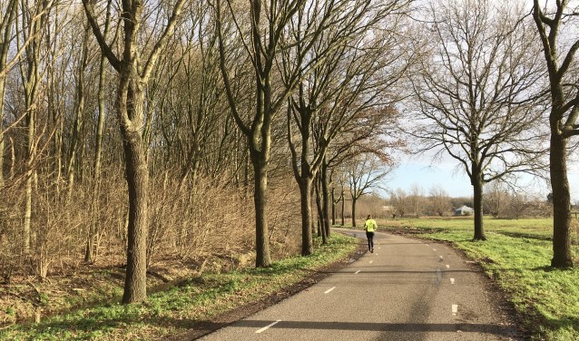 Als de voortekenen ons niet bedriegen, kan toch een deel van de bomen gespaard worden.