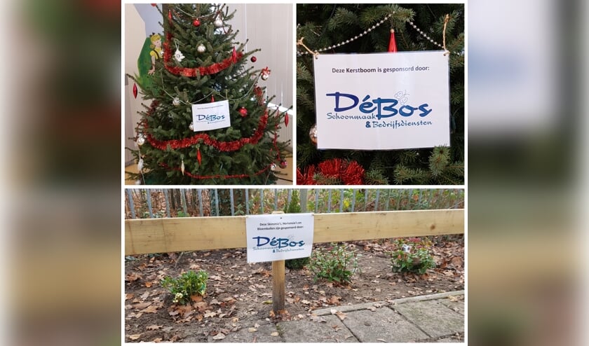 De gedoneerde kerstboom en buitenplanten