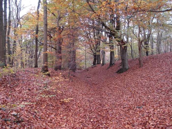 Holleweg, de dodenweg