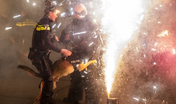 Met de jaarwisseling in aantocht mochten diverse hondengeleiders van de politie met hun honden oefenen met het lawaai van vuurwerk.