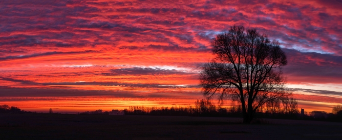 Zonsopkomst met Loevestein en Woudrichem