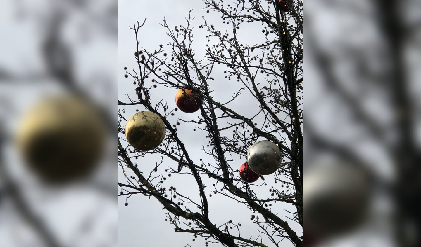 Prachtige boom op de kerstmarkt
