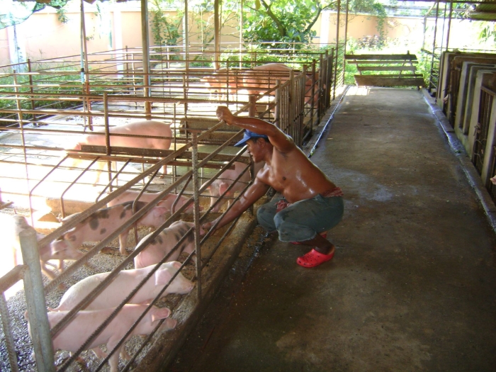 Don Bosco boerderij in Cambodja