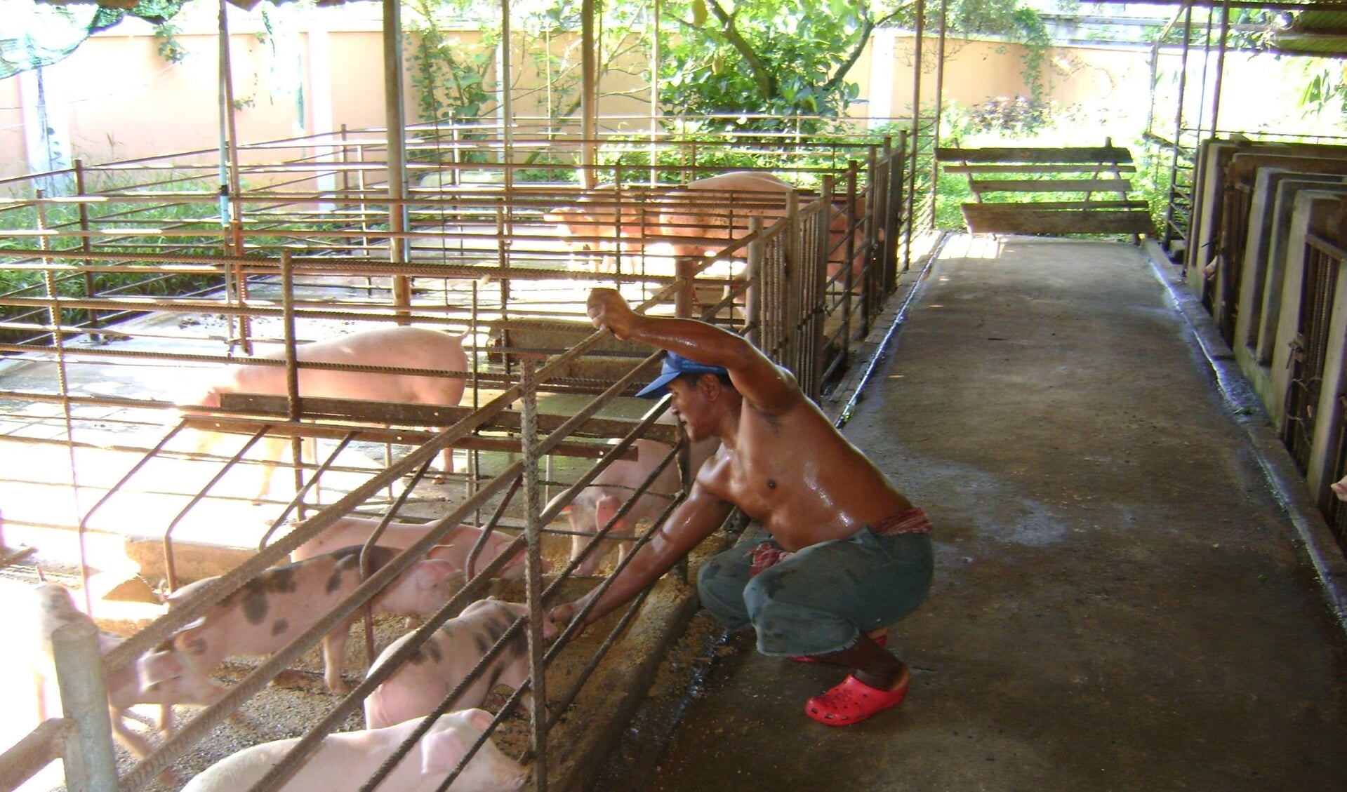 Don Bosco boerderij in Cambodja