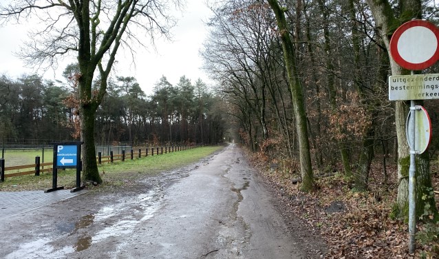 De Oude Barnevelderweg met aan de linkerkant de groene strook waar nu commotie om is.