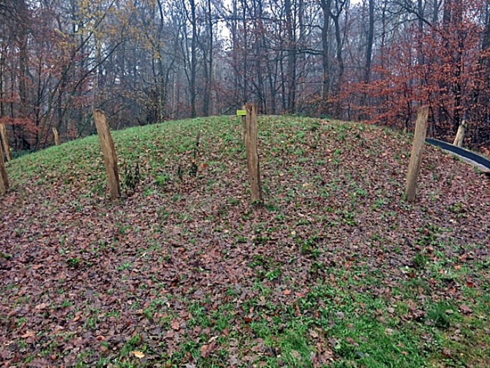 Grafheuvel