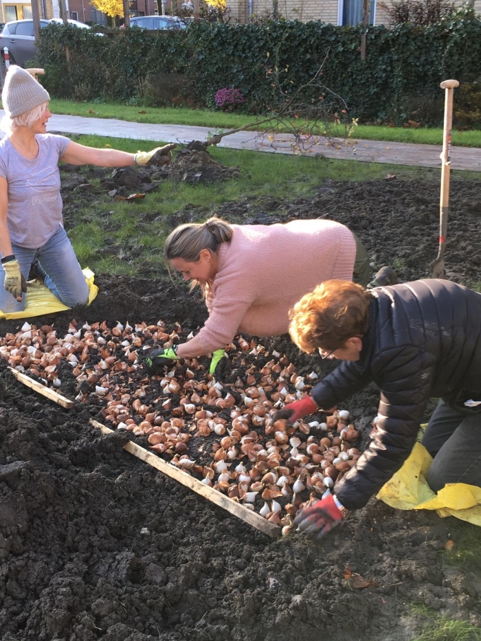 Rotarians aan t werk. Links voorzitter Mieke Millenaar