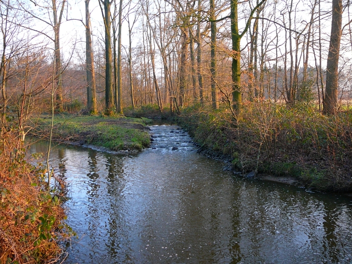 Met waterbeheer de sponswerking herstellen