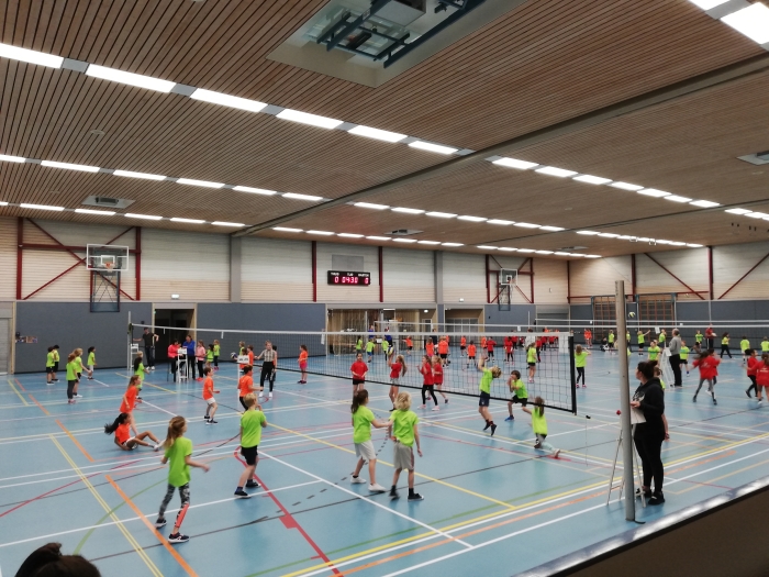 Veel positiviteit tijdens de volleybaltoernooien voor groep 4, 5 en 6 in de Bindelwijk