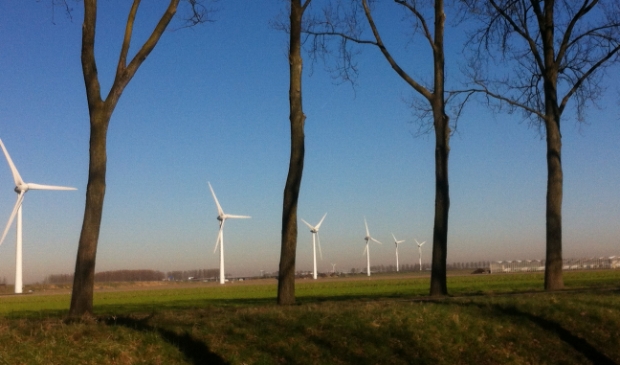 <p>Bomen en windmolens tegen een strak blauwe lucht</p>
